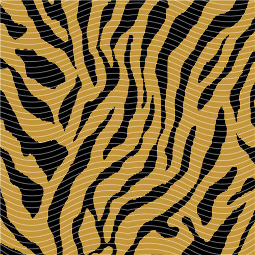 holographic Big- 365